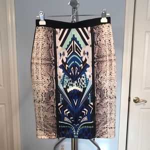 Nordstrom High Waisted Snakeskin Jungle Skirt
